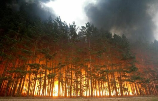 Incendiu de padure - Dolginino, Rusia (Aug. 2010)
