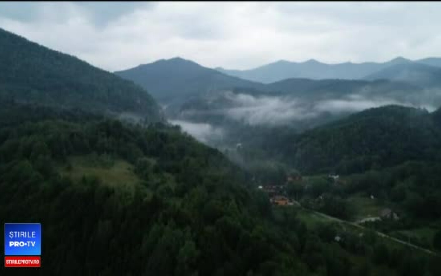 Video Cum ajung mii de hectare de pădure să fie rase de pe faţa