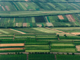 agricultura Romania agricultura Romania