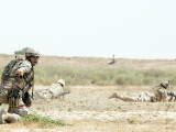 militari americani si irakieni la un exercitiu militari americani si irakieni la un exercitiu