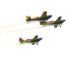 Iacarii_acrobati Iacarii_acrobati