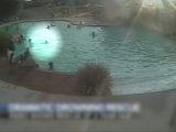 piscina_Florida piscina_Florida