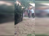 bataie bataie