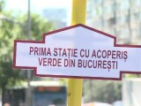 statie verde statie verde