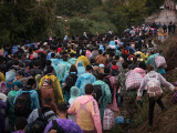 migranti, refugiati migranti, refugiati
