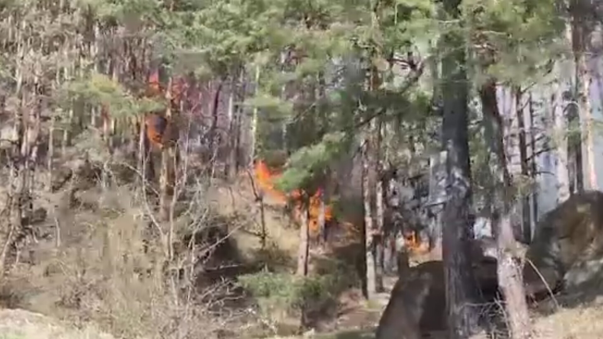 Incendiul De P Dure Din T Rgu Ocna Nc Nu A Putut Fi Stins La V Rsta