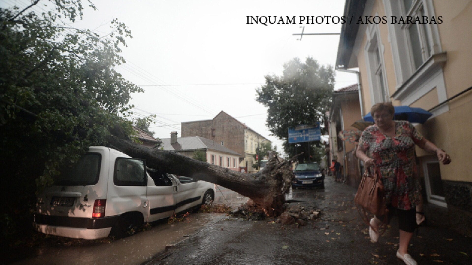 Daunele Produse De Fenomenele Meteo NU Sunt Complet Acoperite De