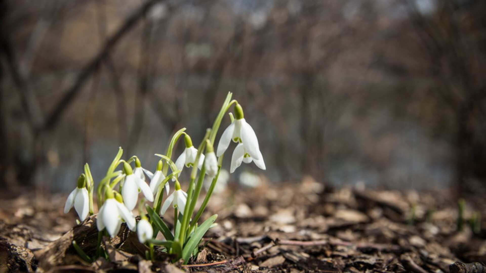 Vreme Schimbatoare In Toata Tara Cu Ploi Slabe Si Temperaturi De Pana