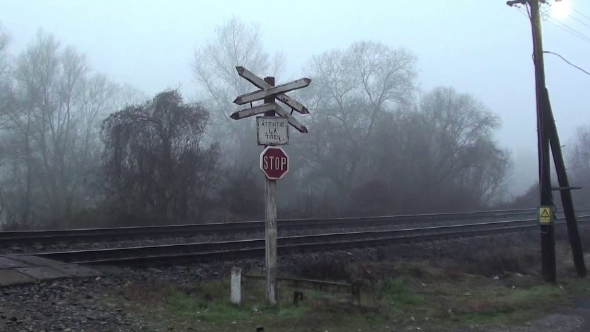 Accident Tragic In Maramures Un Barbat A Murit Pe Loc Calcat De Tren