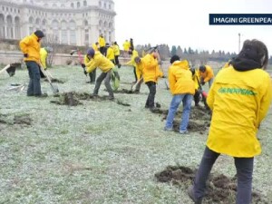 greenpeace greenpeace