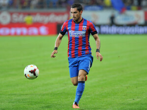 Steaua Steaua