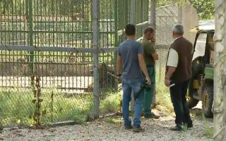 Rescuers attacked by the bear Rescuers attacked by the bear