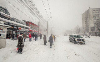 blizzard, snow, snow