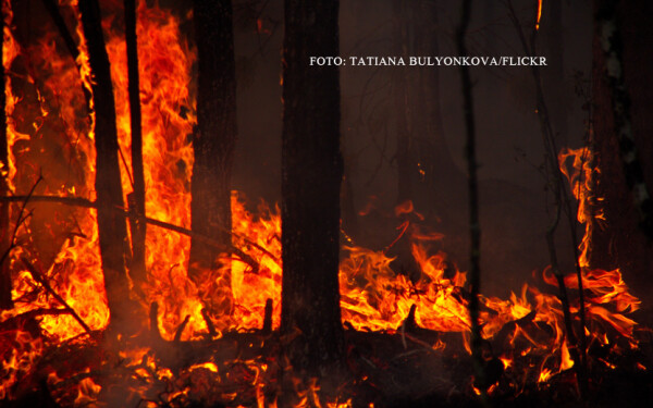 incendiu de vegetatie in Siberia incendiu de vegetatie in Siberia