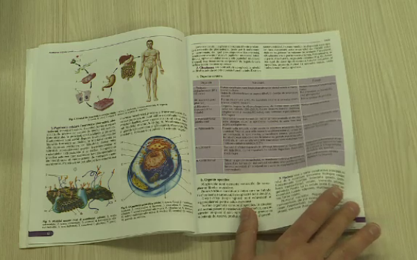 educatie sexuala educatie sexuala