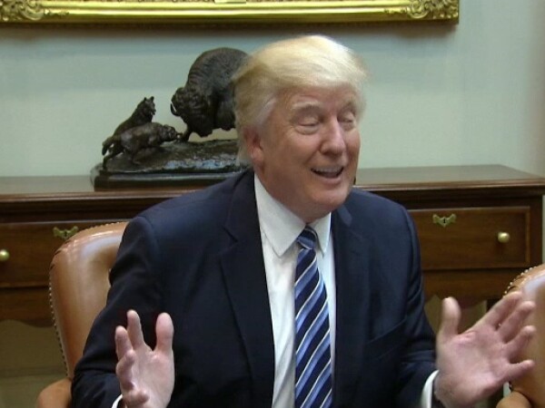 Donald Trump Donald Trump