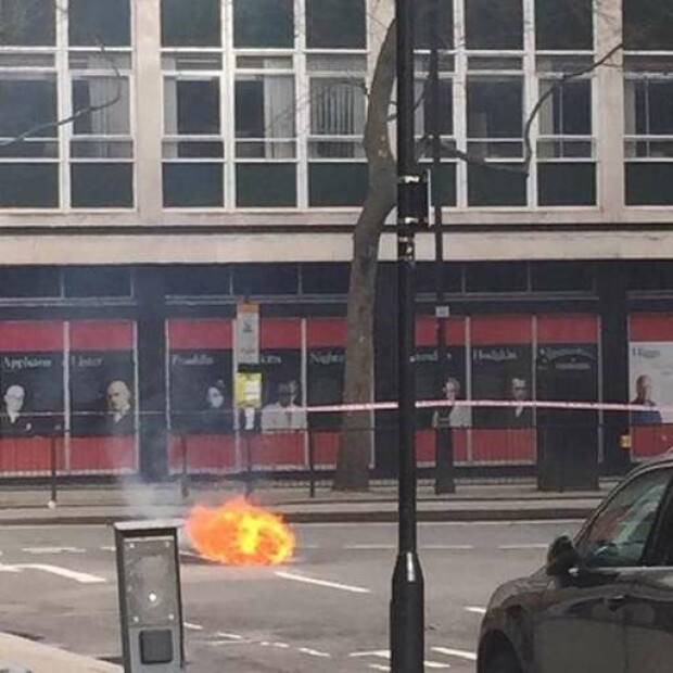 foc, BBC
