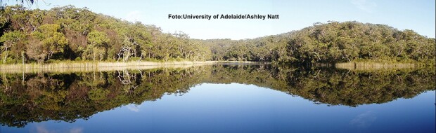 Lacul Albastru din Australia Lacul Albastru din Australia