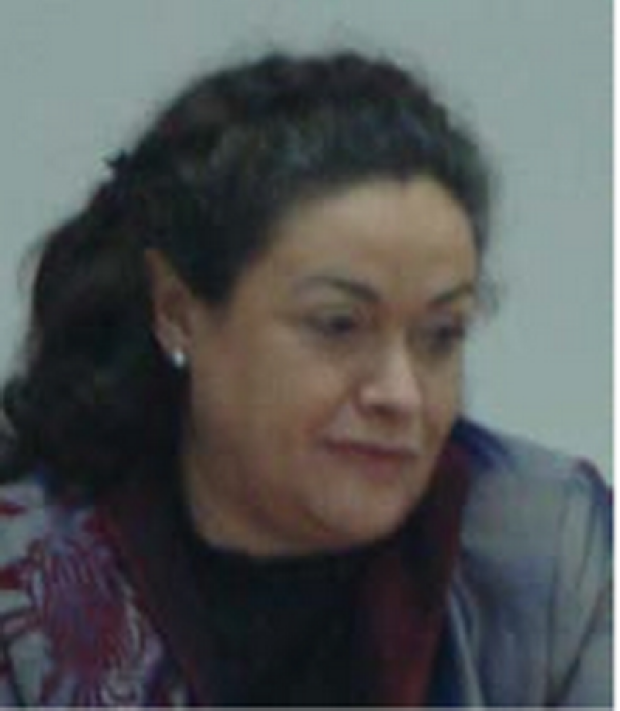 Claudia Moarcas, Ministerul Muncii