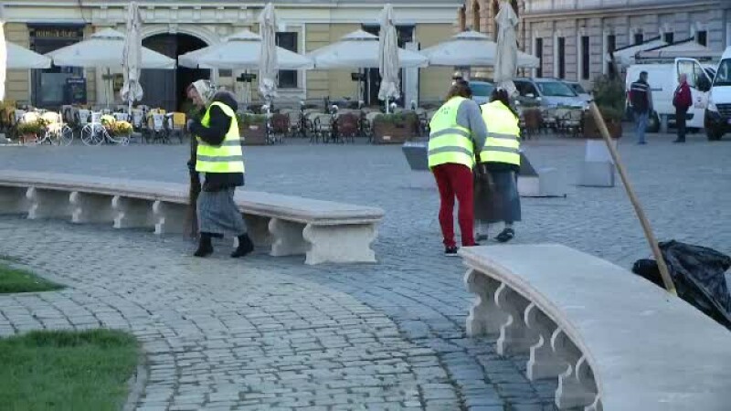 asistati social matura prin timisoara asistati social matura prin timisoara