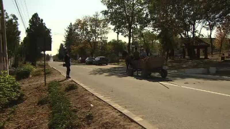 gangiova gangiova