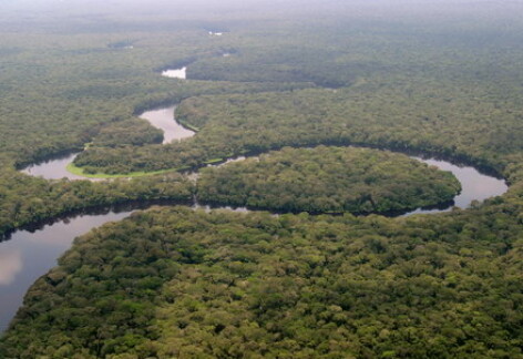 Bazinul Congo