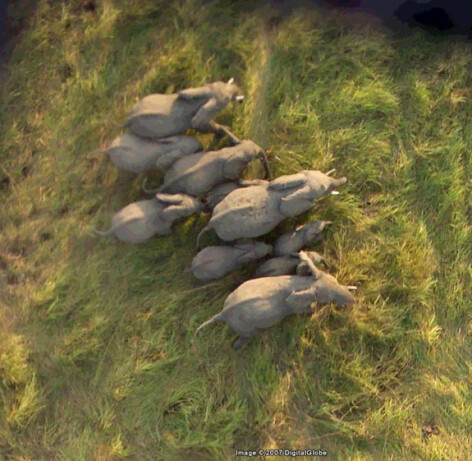 Google Earth - 9
