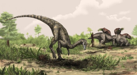 Nyasasaurus parringtoni, dinozaur