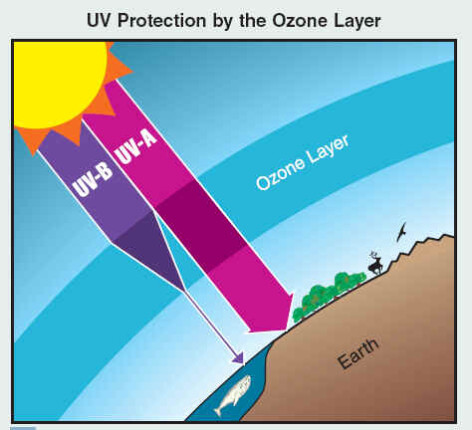 Stratul de ozon