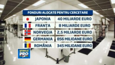 grafica bani cercetare grafica bani cercetare