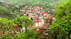 stirileprotv.ro