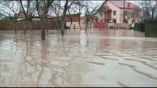 stirileprotv.ro