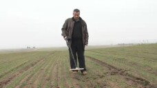 stirileprotv.ro