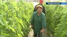 stirileprotv.ro