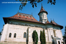 stirileprotv.ro