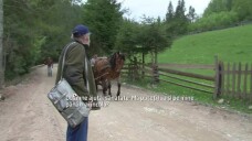 stirileprotv.ro