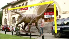 stirileprotv.ro