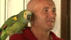 stirileprotv.ro