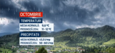 stirileprotv.ro