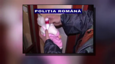 stirileprotv.ro