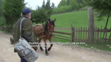 stirileprotv.ro