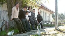 stirileprotv.ro