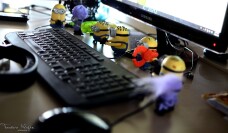 king romania - 5 king romania - 5