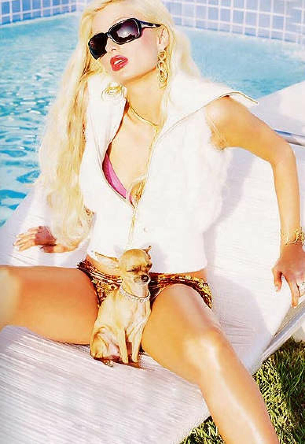 Oopss! Ce cauta catelul in bikinii lui Paris Hilton? - Imaginea 2