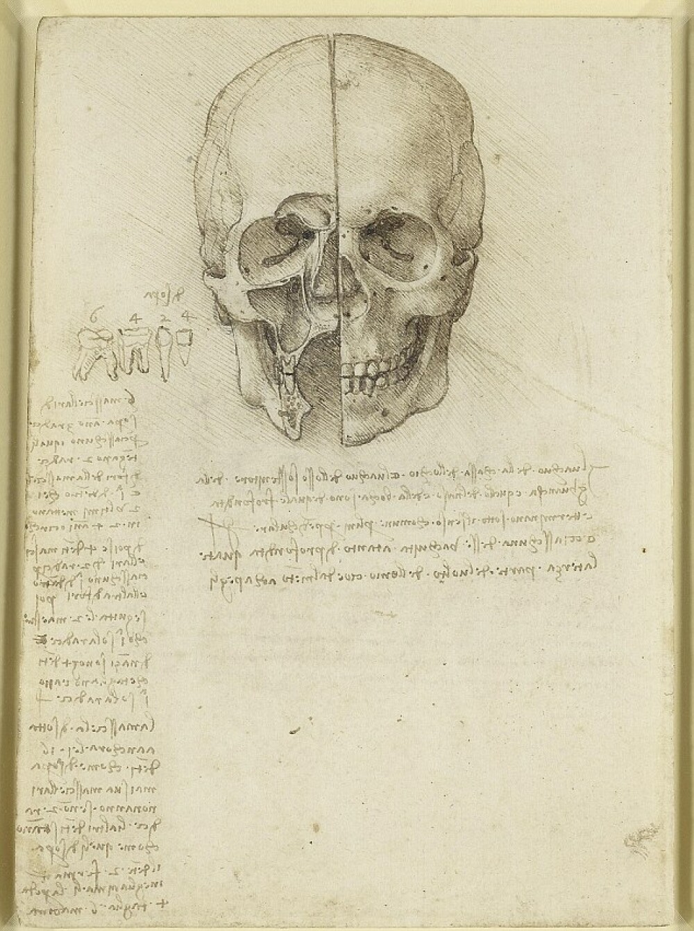 Jurnalul lui Leonardo da Vinci. “De cumparat azi: hartie, carbune si un craniu uman” - Imaginea 4