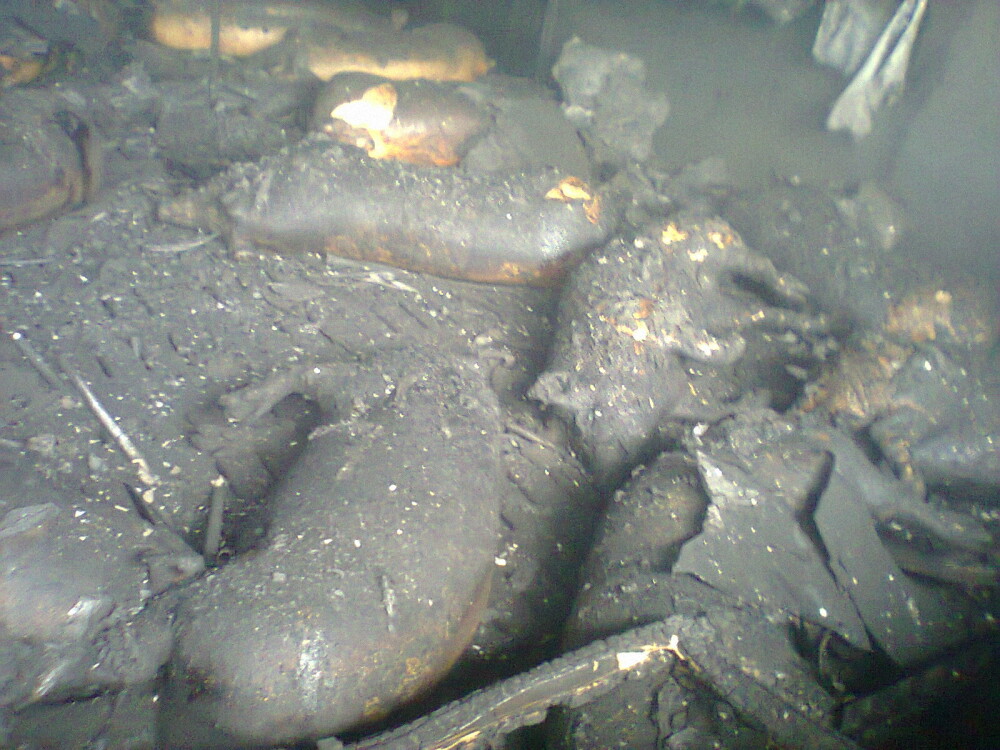 IMAGINI SOCANTE. 2.200 de porci au murit intr-un incendiu la Andrid - Imaginea 4