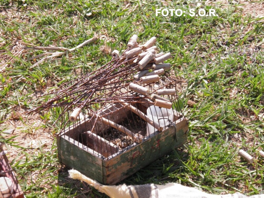 FOTOreportaj. Doi studenti au prins un braconier de pasari in Delta Bucurestiului - Imaginea 7