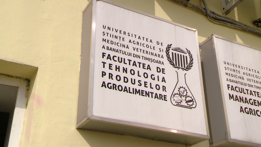 UPDATE: Profesorii au fost retinuti. Trei dascali de la o universitate de stat din Timisoara, cercetati pentru luare de mita - Imaginea 1