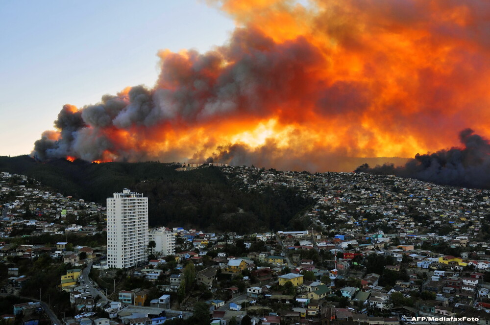 Dezastru in Chile, dupa un incendiu care a distrus 800 de hectare. Cel putin 16 oameni au murit, peste 10.000 sunt evacuati - Imaginea 4