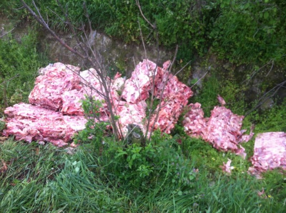 Aproximativ 200 de kilograme de resturi de carne de pui, abandonate intr-un canal de langa Timisoara - Imaginea 1